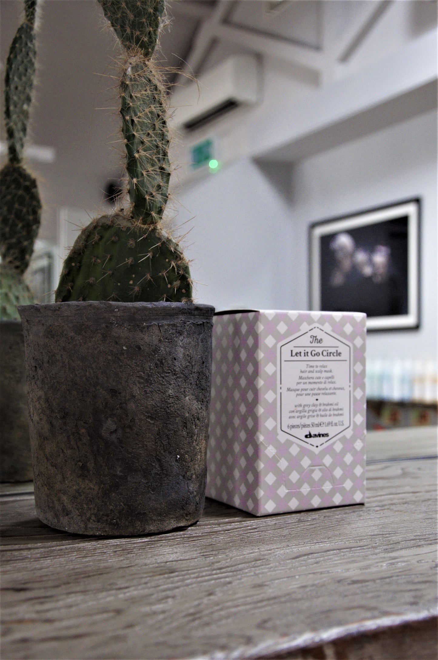 The Circle Chronicles - The Let it Go Circle